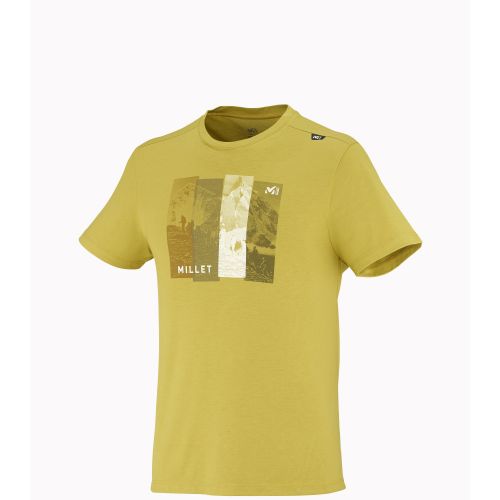 Shirt Process TS SS 