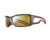 Sunglasses Pipeline Zebra