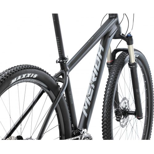 Mountain bike Big Nine XT-Edition