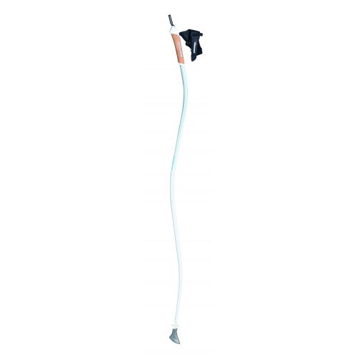 Poles Ergo Pole