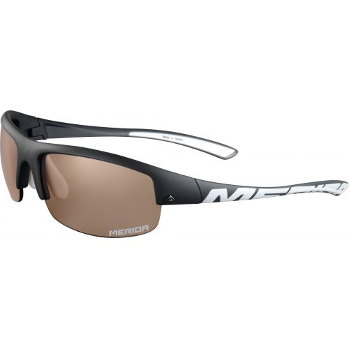 Sunglasses Eye Shield T445B1