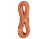 Virvė Heron Pro Dry 9.8 mm 60 m