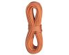 Rope Heron Pro Dry 9.8 mm 60 m