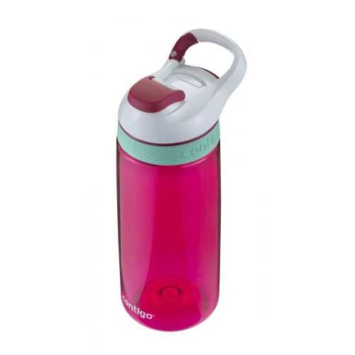 Pudele Courtney 590 ml