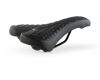 Saddle Fat Bike