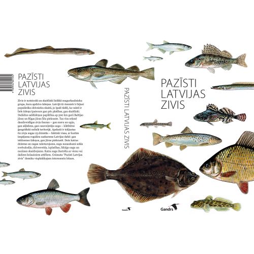 Knyga Pazīsti Latvijas zivis