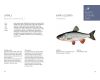 Knyga Pazīsti Latvijas zivis
