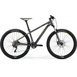 Mountain bike Big Seven 300