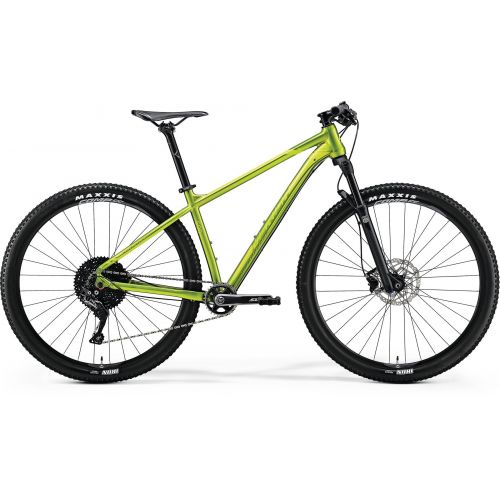 Mountain bike BIG NINE 600