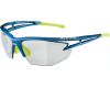 Sunglasses Alpina Eye-5 HR VL+