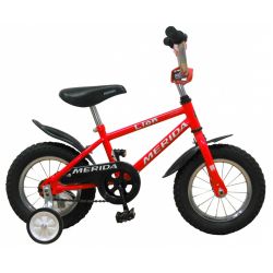 Kids bike Lion