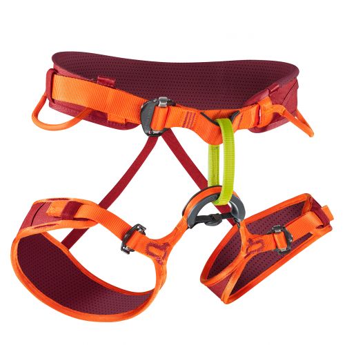 Jay II Harness