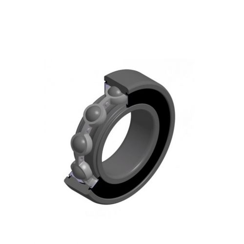Bearing 6000.2RS.ISK