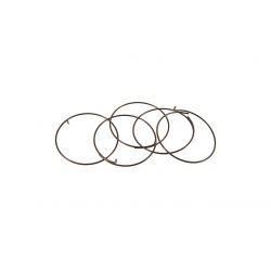 Spare part 5-R1-015 Pawl Spring Fulcrum