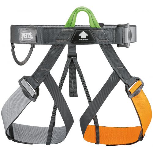 Pandion Harness