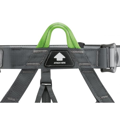 Pandion Harness