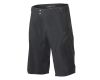 Šortai Alps 8.0 Shorts