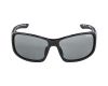 Sunglasses Alpina Lyron VL