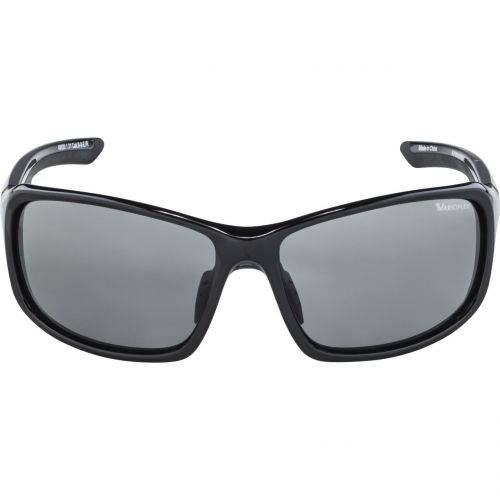 Sunglasses Alpina Lyron VL