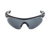 Sunglasses Alpina Nylos Shield CM