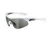 Sunglasses Alpina Nylos Shield VL