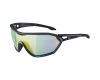 Sunglasses Alpina S-Way L VLM+
