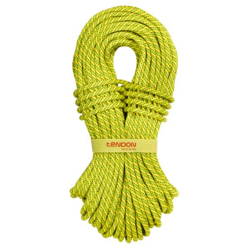 Rope Ambition CS 9.8mm (3.1m)