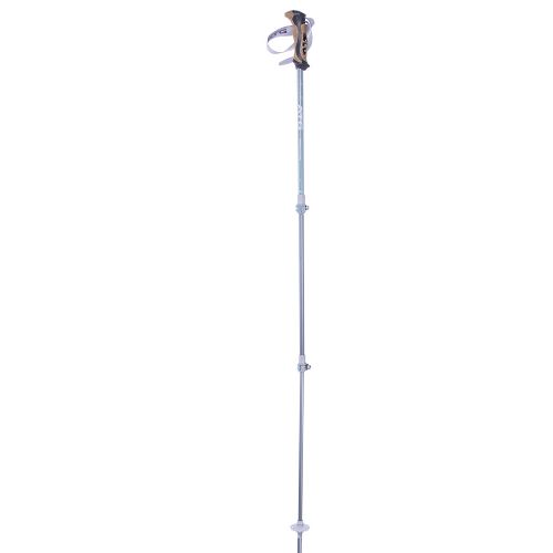 Poles Ascent Light FL