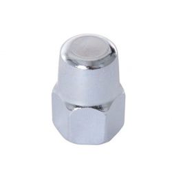 Nut SG-4R30 Cap Nut 3/8