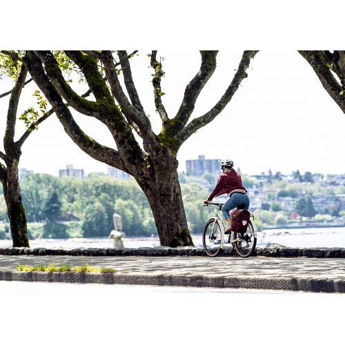 Velosoma Velo-Shopper QL2.1
