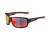 Saulesbrilles Alpina Lyron PM