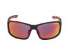 Sunglasses Alpina Lyron PM