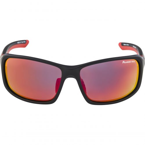 Sunglasses Alpina Lyron PM