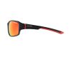 Sunglasses Alpina Lyron PM