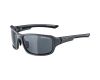 Saulesbrilles Alpina Lyron PM