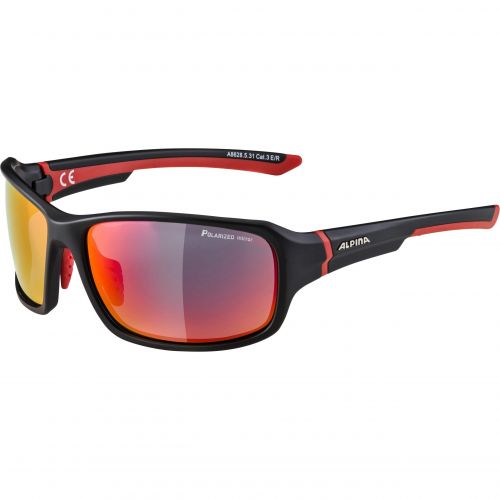 Sunglasses Alpina Lyron PM