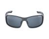 Sunglasses Alpina Lyron PM