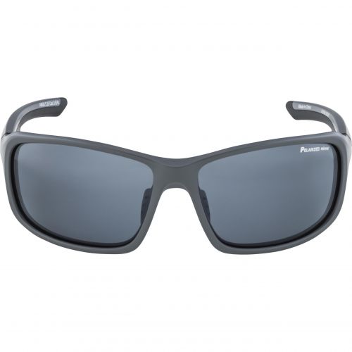 Sunglasses Alpina Lyron PM