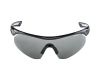 Sunglasses Alpina Nylos Shield VL