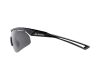 Sunglasses Alpina Nylos Shield VL