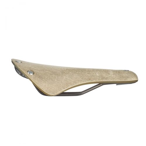 Saddle Cambium C19