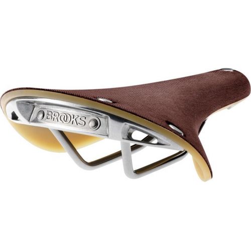 Saddle Cambium C19