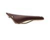 Saddle Cambium C19