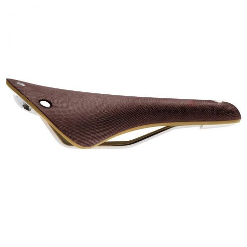 Saddle Cambium C19