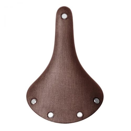 Saddle Cambium C19