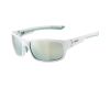 Sunglasses Alpina Lyron S CM