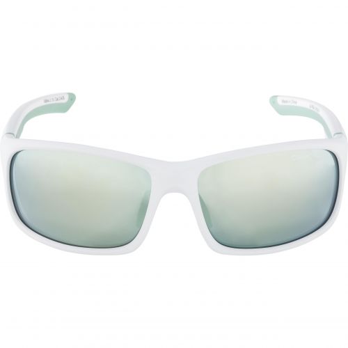 Sunglasses Alpina Lyron S CM