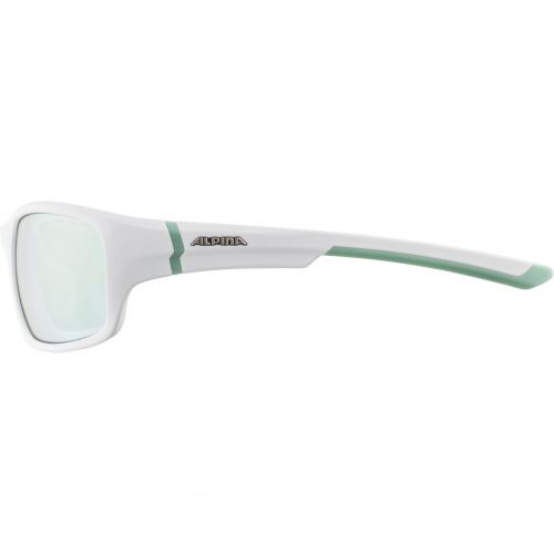 Sunglasses Alpina Lyron S CM