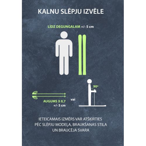 Slēpes Flow 4.1 08