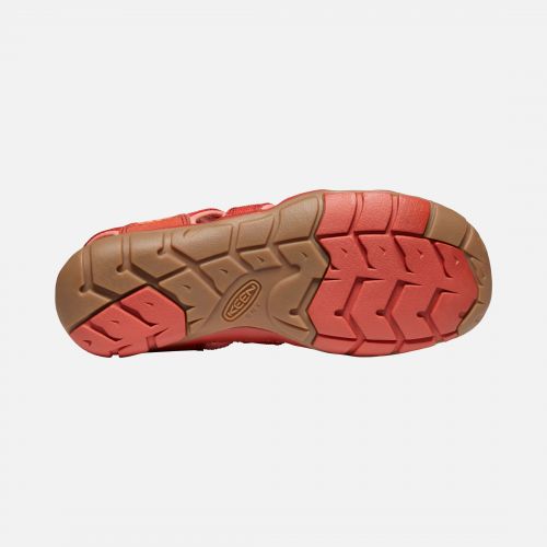 Sandalai Clearwater CNX Women's